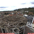 14_05-nest.jpg