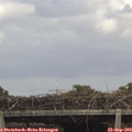14_10-mast.jpg