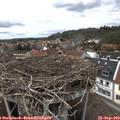 14_10-nest.jpg