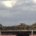 14_15-mast.jpg
