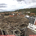 14_15-nest.jpg