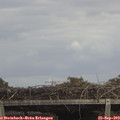 14_30-mast.jpg
