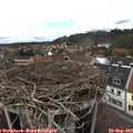 14_30-nest.jpg