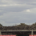 14_35-mast.jpg