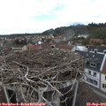 14_35-nest.jpg