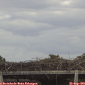 14_40-mast.jpg