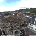 14_45-nest.jpg