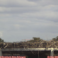 14_50-mast.jpg
