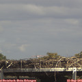 14_55-mast.jpg
