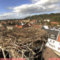 14_55-nest.jpg
