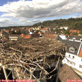 15_00-nest.jpg