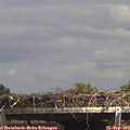 15_05-mast.jpg
