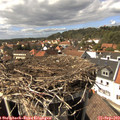 15_05-nest.jpg