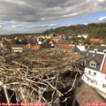 15_10-nest.jpg