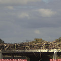 15_15-mast.jpg