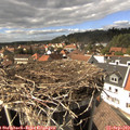 15_15-nest.jpg