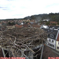 15_20-nest.jpg