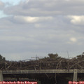15_25-mast.jpg