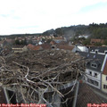 15_25-nest.jpg