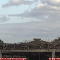15_30-mast.jpg
