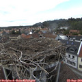 15_30-nest.jpg
