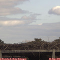 15_35-mast.jpg