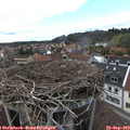 15_35-nest.jpg