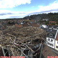 15_40-nest.jpg
