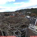 15_45-nest.jpg