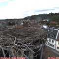 15_55-nest.jpg