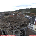 16_00-nest.jpg