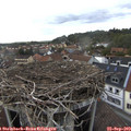 16_05-nest.jpg