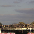 16_10-mast.jpg