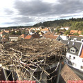 16_10-nest.jpg