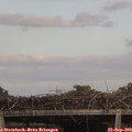 16_15-mast.jpg