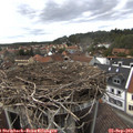 16_15-nest.jpg
