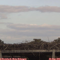 16_20-mast.jpg
