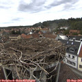 16_20-nest.jpg