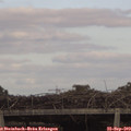 16_25-mast.jpg