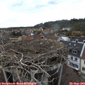 16_25-nest.jpg