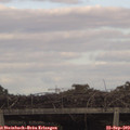 16_30-mast.jpg
