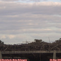 16_35-mast.jpg