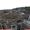 16_35-nest.jpg