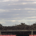 16_40-mast.jpg