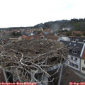 16_40-nest.jpg