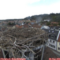16_45-nest.jpg