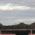 16_50-mast.jpg