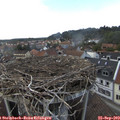 16_50-nest.jpg