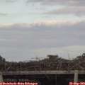 16_55-mast.jpg
