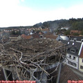 16_55-nest.jpg